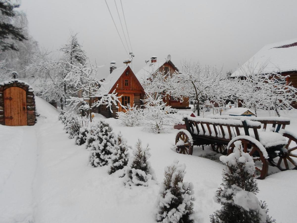 Agrousad'Ba Okolitsa Hotel Shchibri Kültér fotó