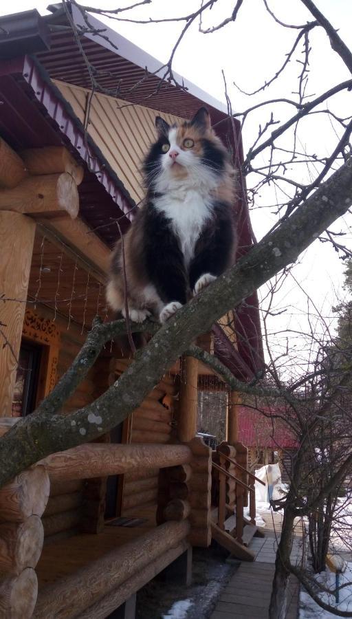 Agrousad'Ba Okolitsa Hotel Shchibri Kültér fotó